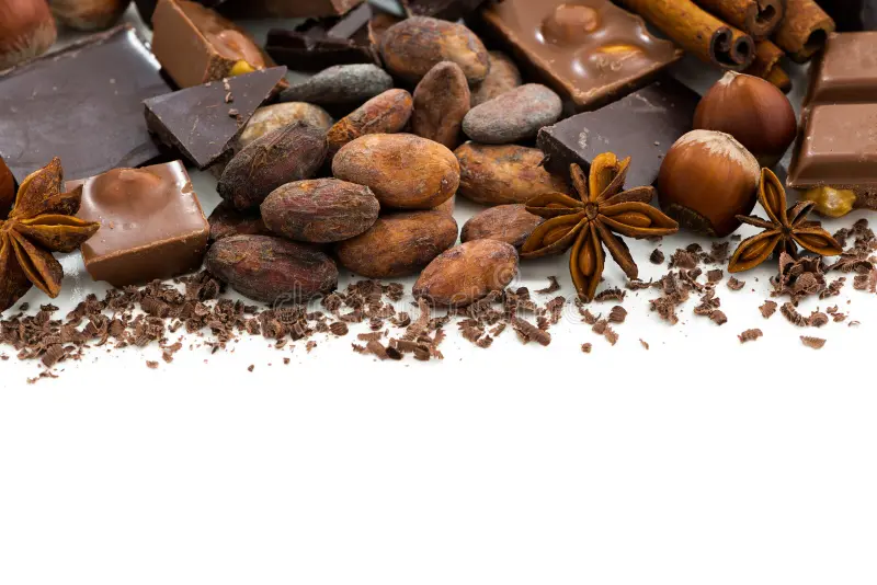 fondo con los granos de cacao chocolate y especias aislados 76267404